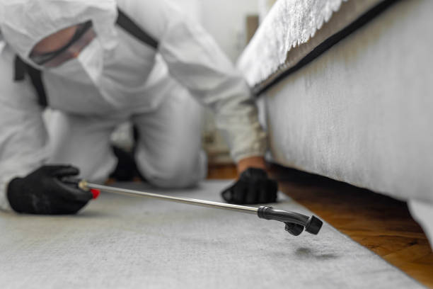 Professional Pest Control technician working in Logan County County, IL
